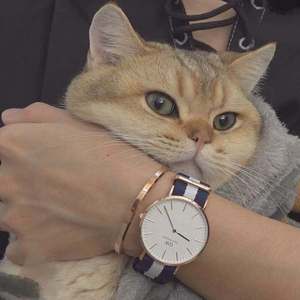 中国大妈干b视频网站
